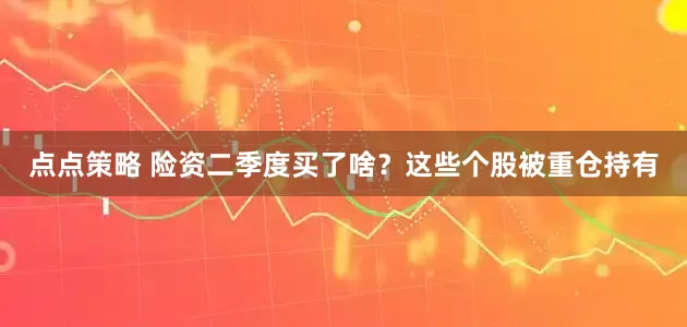 点点策略 险资二季度买了啥？这些个股被重仓持有