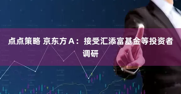 点点策略 京东方Ａ：接受汇添富基金等投资者调研